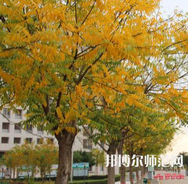榆林職業(yè)技術(shù)師范學(xué)院2023年怎么樣、好不好