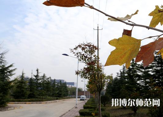 陜西職業(yè)技術師范學院2023年報名條件、招生要求、招生對象 