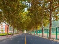 聊城師范大學(xué)東昌學(xué)院2023年報名條件、招生要求、招生對象