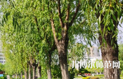 南陽(yáng)理工師范學(xué)院2023年報(bào)名條件、招生要求、招生對(duì)象