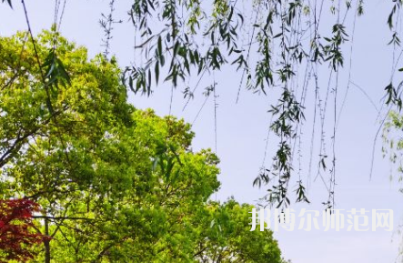 南陽(yáng)理工師范學(xué)院2023年報(bào)名條件、招生要求、招生對(duì)象