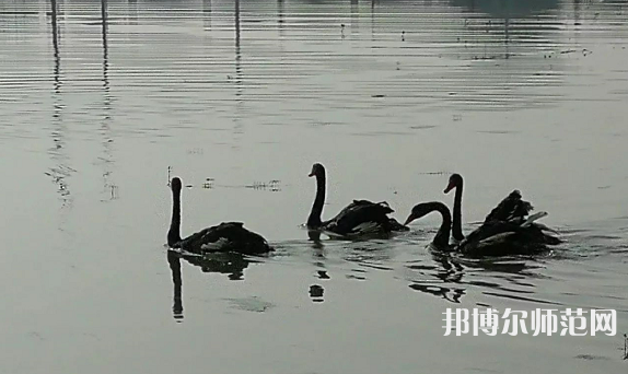 浙江師范大學(xué)行知學(xué)院蘭溪校區(qū)2023年怎么樣、好不好