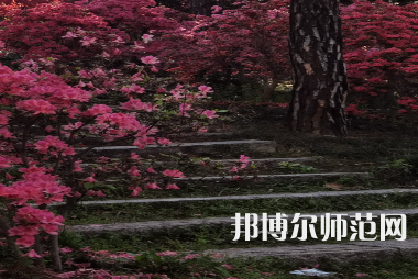 信陽師范學(xué)院華銳學(xué)院2023年報(bào)名條件、招生要求、招生對象