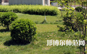 安陽幼兒師范高等專科學(xué)校歷年招生錄取分數(shù)線