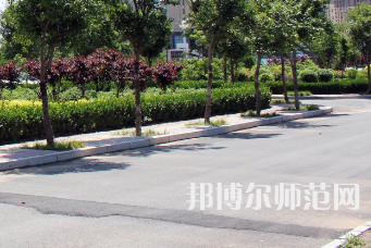 安陽幼兒師范高等?？茖W校2023年有哪些專業(yè)