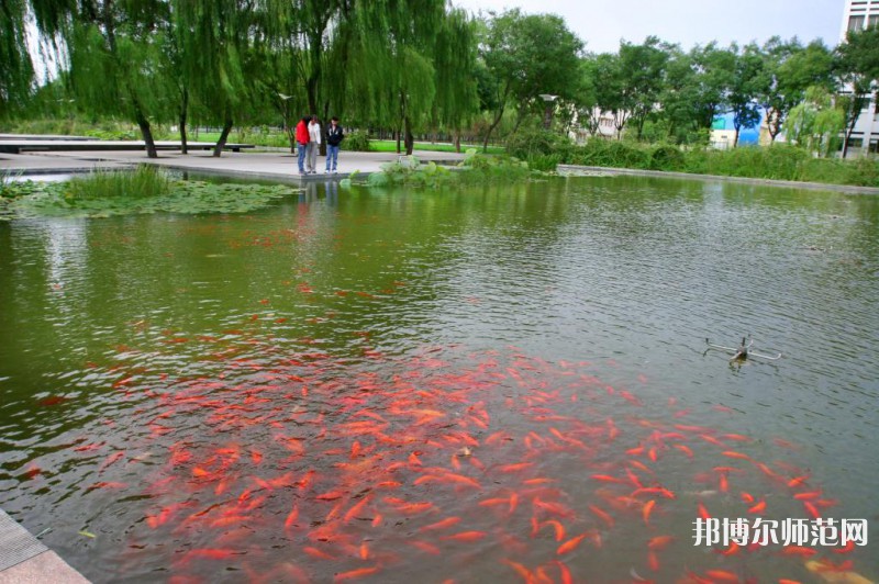 濰坊科技師范學(xué)院2023年怎么樣、好不好 