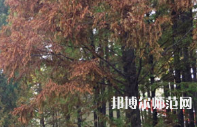 信陽(yáng)師范學(xué)院2023年怎么樣、好不好