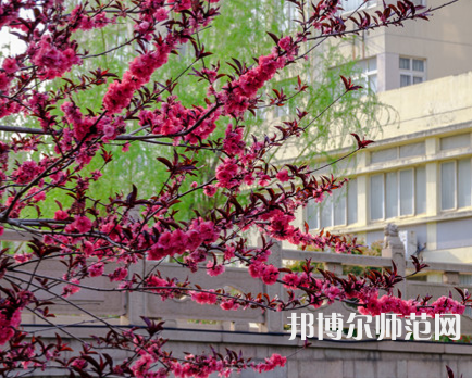 蘇州科技師范大學(xué)天平學(xué)院2023年報(bào)名條件、招生要求、招生對(duì)象