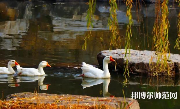 山東財經(jīng)師范大學萊蕪校區(qū)2023年報名條件、招生要求、招生對象 