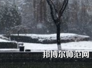 焦作師范高等?？茖W(xué)校2023年招生代碼