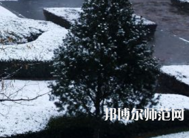 焦作師范高等?？茖W(xué)校2023年報(bào)名條件、招生要求、招生對(duì)象