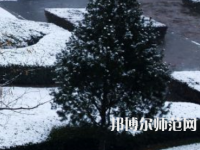 焦作師范高等?？茖W校2023年報名條件、招生要求、招生對象