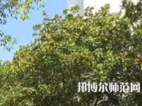 湖南理工師范學(xué)院南湖學(xué)院2023年怎么樣、好不好