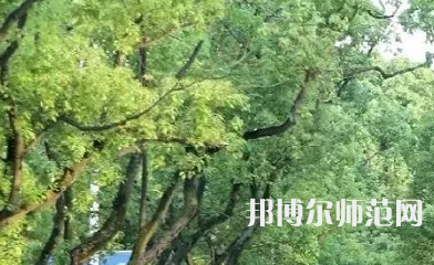 湖南理工師范學(xué)院南湖學(xué)院2023年報名條件、招生要求、招生對象