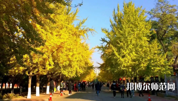 遼寧大學師范學院崇山校區(qū)2023年報名條件、招生要求、招生對象