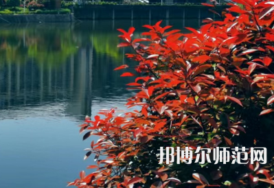南華大學(xué)船山師范學(xué)院雨母校區(qū)2023年報(bào)名條件、招生要求、招生對(duì)象