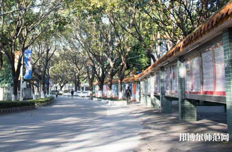 東莞理工師范學(xué)院松山湖校區(qū)2023年怎么樣、好不好