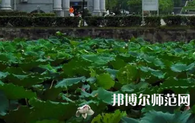 南華師范大學(xué)紅湘校區(qū)2023年報(bào)名條件、招生要求、招生對象