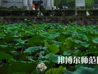 南華師范大學(xué)紅湘校區(qū)2023年報(bào)名條件、招生要求、招生對(duì)象