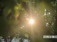 咸陽職業(yè)技術(shù)師范學(xué)院2023年報(bào)名條件、招生要求、招生對象