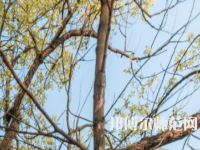 湖南大學師范學院南校區(qū)2023年怎么樣、好不好