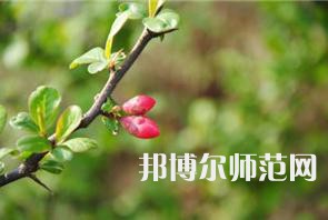 西安幼兒師范職業(yè)學(xué)校2023年學(xué)費(fèi)、收費(fèi)多少