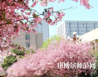 中國(guó)礦業(yè)師范大學(xué)徐海學(xué)院2023年報(bào)名條件、招生要求、招生對(duì)象