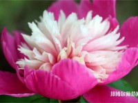 海南師范大學(xué)2023年報(bào)名條件、招生要求、招生對(duì)象