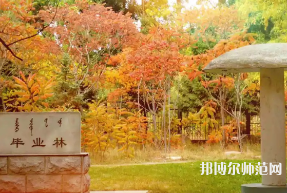 內(nèi)蒙古大學師范學院滿洲里學院2023年怎么樣、好不好