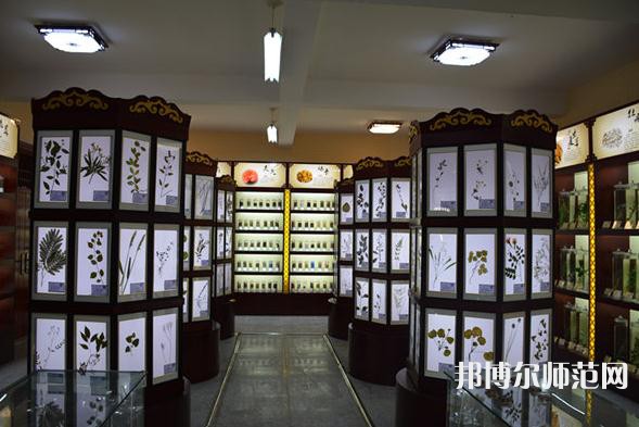 銅川職業(yè)技術(shù)師范學(xué)院2023年學(xué)費(fèi)、收費(fèi)多少