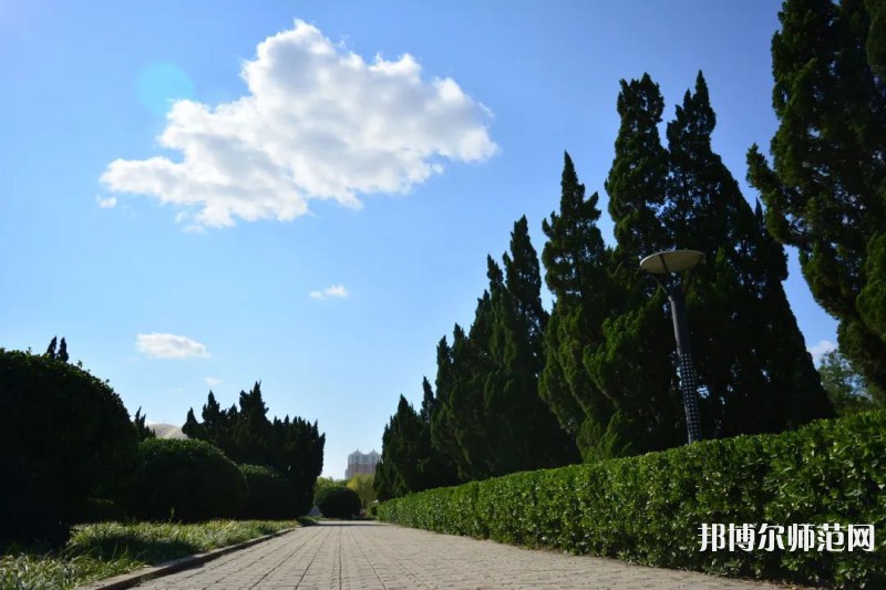 山東石油化工師范學(xué)院2023年報名條件、招生要求、招生對象 