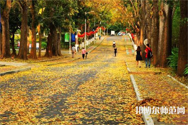 海南大學(xué)師范學(xué)院海甸校區(qū)2023年報(bào)名條件、招生要求、招生對象 