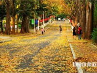 海南大學(xué)師范學(xué)院海甸校區(qū)2023年報(bào)名條件、招生要求、招生對(duì)象