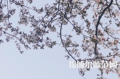 湖南第一師范學(xué)院城南書(shū)院校區(qū)2023年學(xué)費(fèi)、收費(fèi)多少