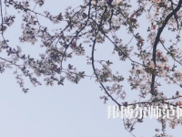 湖南第一師范學(xué)院城南書院校區(qū)2023年學(xué)費(fèi)、收費(fèi)多少