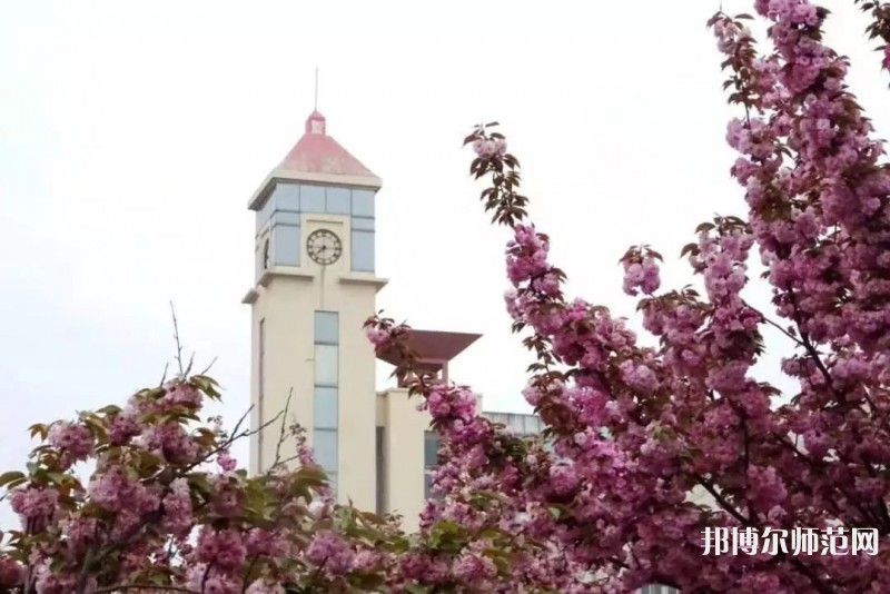 青島師范大學(xué)金家?guī)X校區(qū)2023年報(bào)名條件、招生要求、招生對(duì)象 