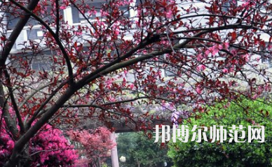 湖南第一師范學(xué)院城南書(shū)院校區(qū)2023年怎么樣、好不好