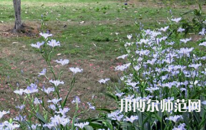 湖南第一師范學(xué)院城南書(shū)院校區(qū)2023年怎么樣、好不好