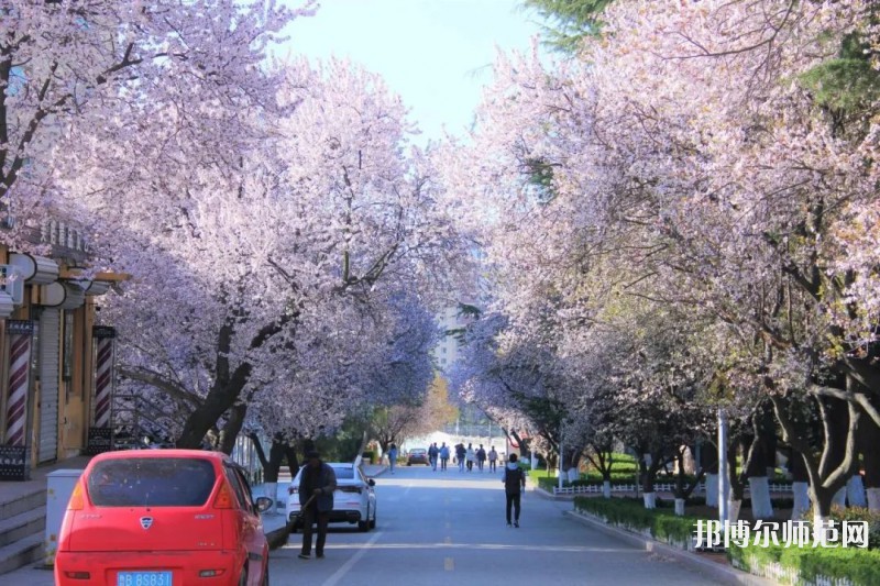 青島師范大學(xué)浮山校區(qū)2023年招生錄取分數(shù)線