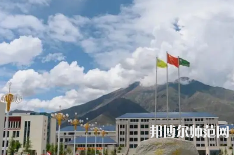拉薩師范高等?？茖W(xué)校2023年招生代碼