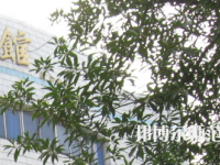 湖南師范大學(xué)樹(shù)達(dá)學(xué)院2023年怎么樣、好不好