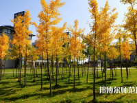 瀘州幼師職業(yè)技術(shù)學(xué)校2023年學(xué)費、收費多少