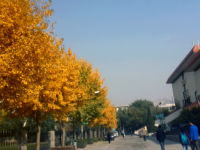 西北師范大學(xué)2023年怎么樣、好不好