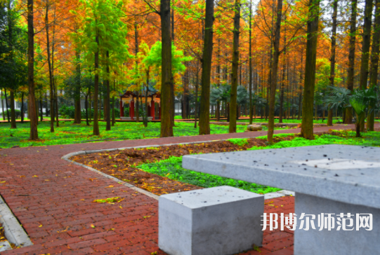 長江大學文理學院2023年怎么樣、好不好