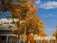 南京師范大學(xué)泰州學(xué)院2023年報(bào)名條件、招生要求、招生對(duì)象