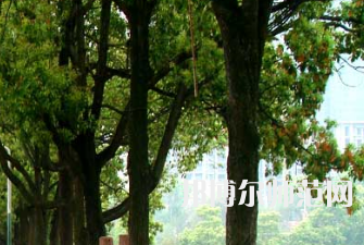 衡陽師范學(xué)院南岳學(xué)院2023年怎么樣、好不好