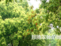 衡陽師范學院南岳學院2023年怎么樣、好不好