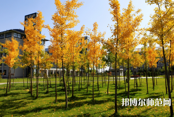 瀘州江南幼師職業(yè)中專學(xué)校2023年報(bào)名條件、招生要求、招生對(duì)象