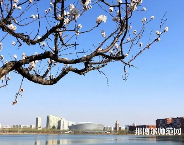 天津理工師范大學(xué)2023年報名條件、招生要求、招生對象
