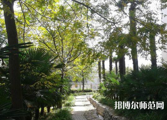 西北大學師范學院桃園校區(qū)2023年怎么樣、好不好